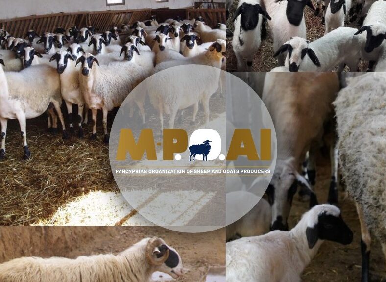 Έκκληση αιγοπροβατοτρόφων για αυστηρή τήρηση μέτρων βιοασφάλειας