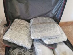 325181707_902933384041989_4613818609823205632_n