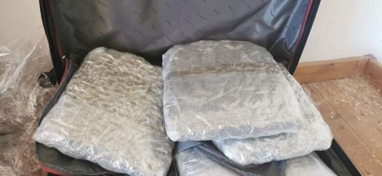 325181707_902933384041989_4613818609823205632_n