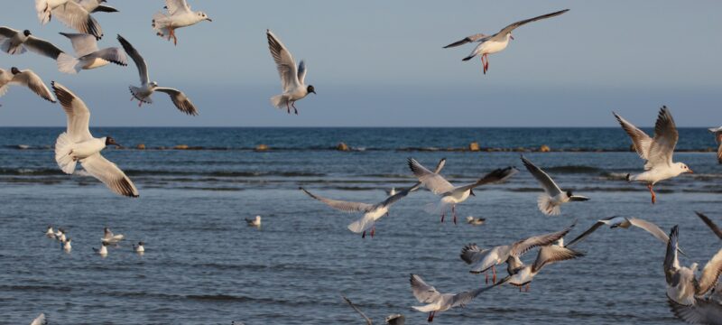 335836891_257430206612003_8720707754332708633_n