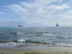 336620620_155809843755727_4248255324570922680_n