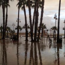 404872951_252023707841761_3966596970709389042_n