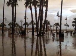 404872951_252023707841761_3966596970709389042_n