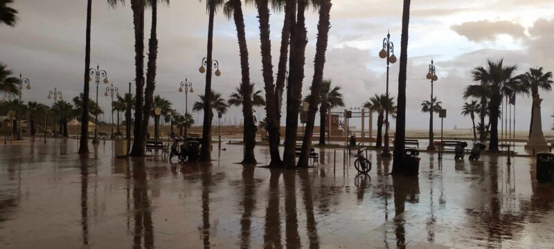 404872951_252023707841761_3966596970709389042_n