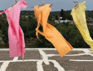 465710054_557376420375233_2698942.2e16d0ba.fil.width-800_PPDGtAD