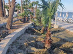 628031319_1379779074192776_3693654421777217010_n