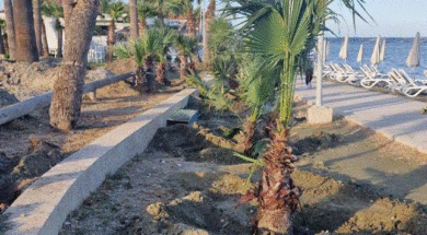 628031319_1379779074192776_3693654421777217010_n