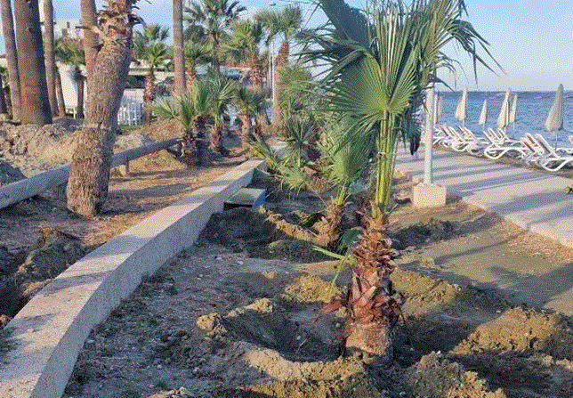 Βραβείο «Πράσινη Πόλη της Κύπρου 2025» στον Δήμο Λάρνακας για το έργο «Ενίσχυση και Επέκταση του θεσμού των Πράσινων Παραλιών»  (φώτο)