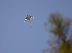 629294523_1379845060852844_3331965477741322113_n