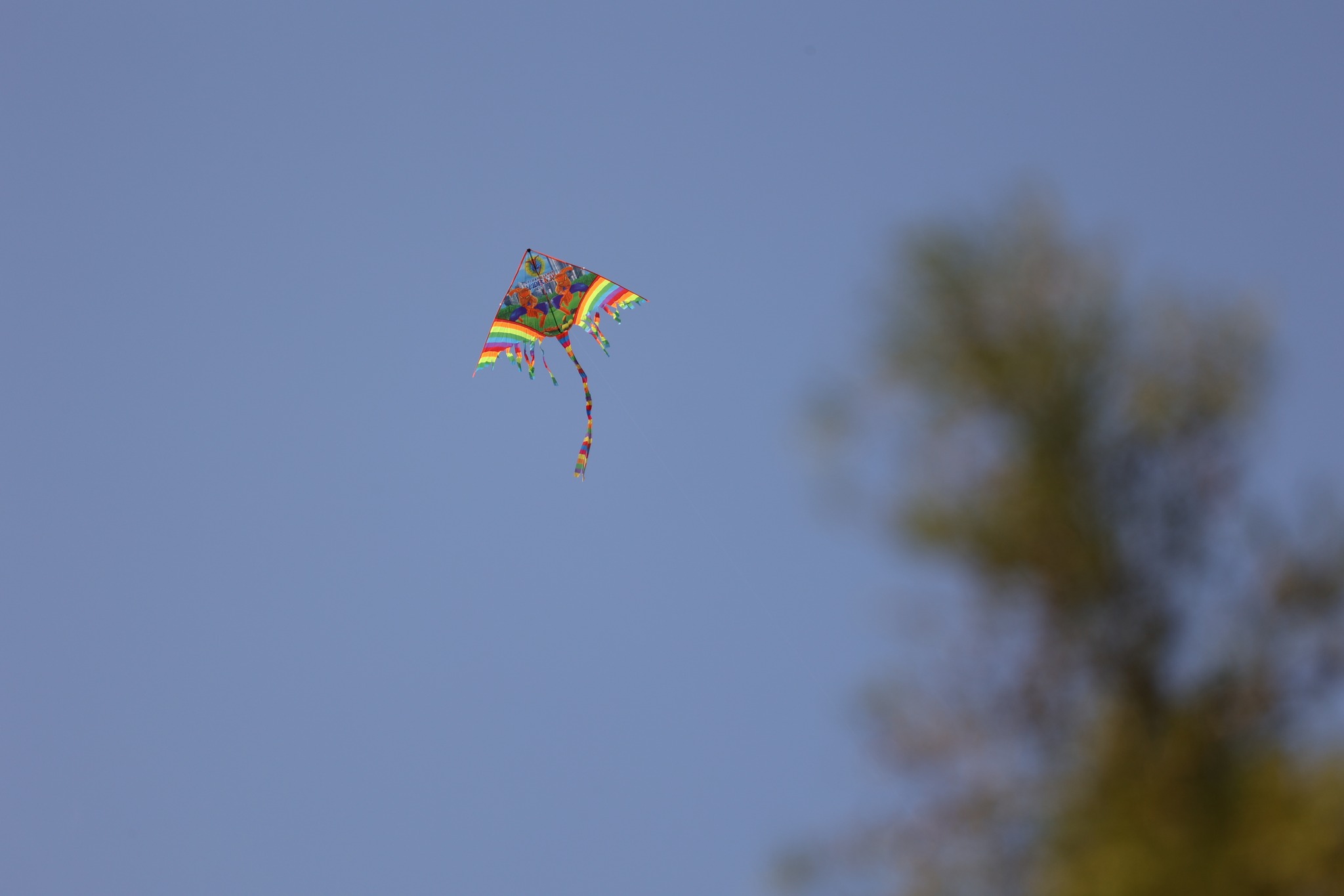 Ο Δήμος Λάρνακας γιορτάζει και φέτος την Καθαρά Δευτέρα στον Τεκκέ