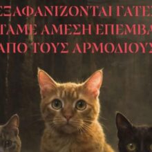 632306302_1325172746319927_7779587987237524727_n