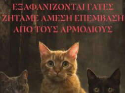 632306302_1325172746319927_7779587987237524727_n