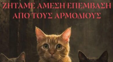 632306302_1325172746319927_7779587987237524727_n