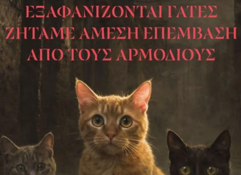 632306302_1325172746319927_7779587987237524727_n