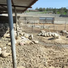 637198704_1207554644770437_6288421062708601502_n-1-1536×864-1