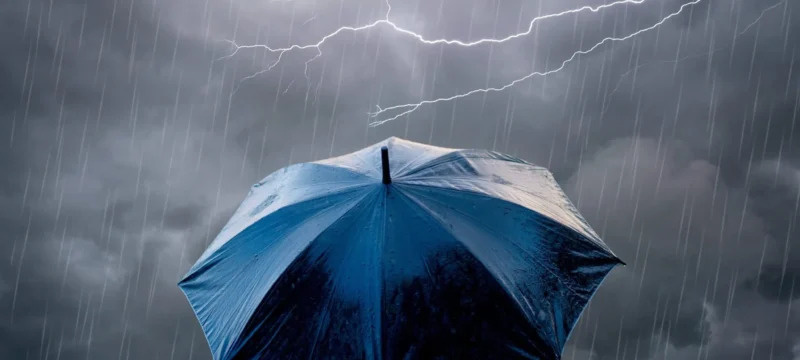 66de8295220000730027fba4_2048x1362-thumb