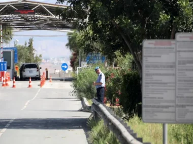 782242-large_thumbnail