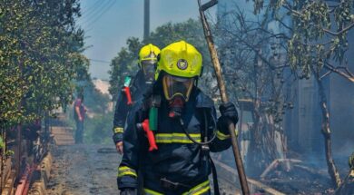 89600125_2692732254279123_5832860059515748352_n