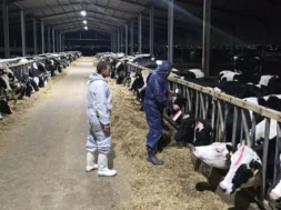 8ec1d7a9_5f9c_4aa0_9a85_9569e311dd30