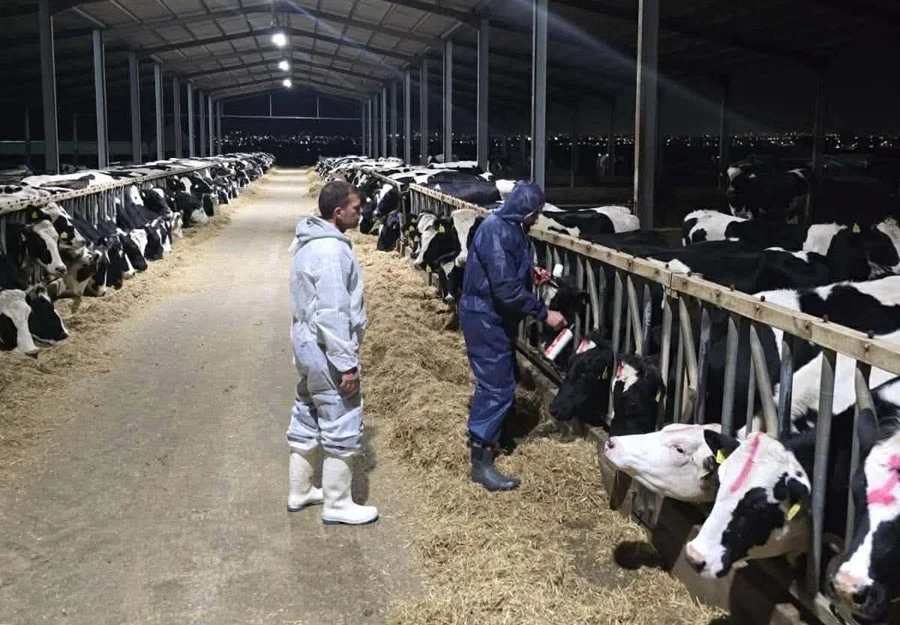 Υπ. Γεωργίας: Στην Κύπρο τα 529.000 εμβόλια από Κομισιόν