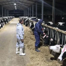 8ec1d7a9_5f9c_4aa0_9a85_9569e311dd30