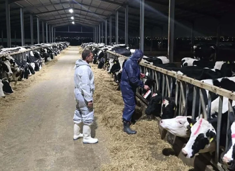 8ec1d7a9_5f9c_4aa0_9a85_9569e311dd30