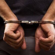 93a99eea-3b77-4266-9748-726334cd9c48_xiropedes