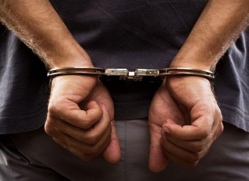 93a99eea-3b77-4266-9748-726334cd9c48_xiropedes