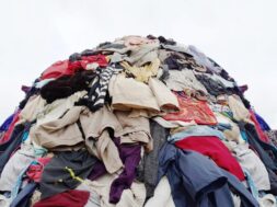 GettyImages-2164380614.jpg1_