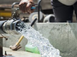 Nero_2432345_Photo_by_Martin_BERN.2e16d0ba.fill-1600×900