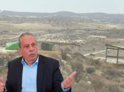 Palmas-pedio-volis-2048×1152