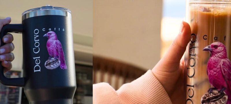 WhatsApp Image 2026-02-05 at 10.59.24