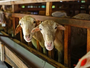 a62a8fa6397be547edede787320761ae_stavlos_me_provata