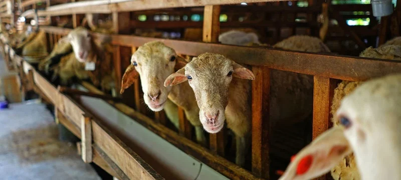 a62a8fa6397be547edede787320761ae_stavlos_me_provata