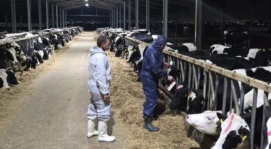 afthodeis-emvoliasmoi