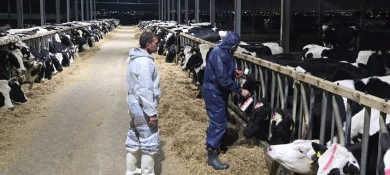 afthodeis-emvoliasmoi