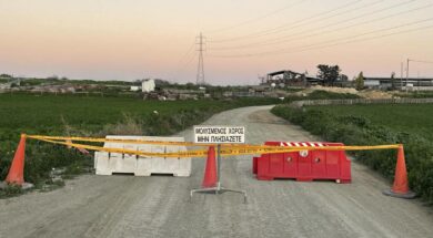 afthodis-piretos-larnaca-1