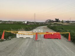 afthodis-piretos-larnaca-1