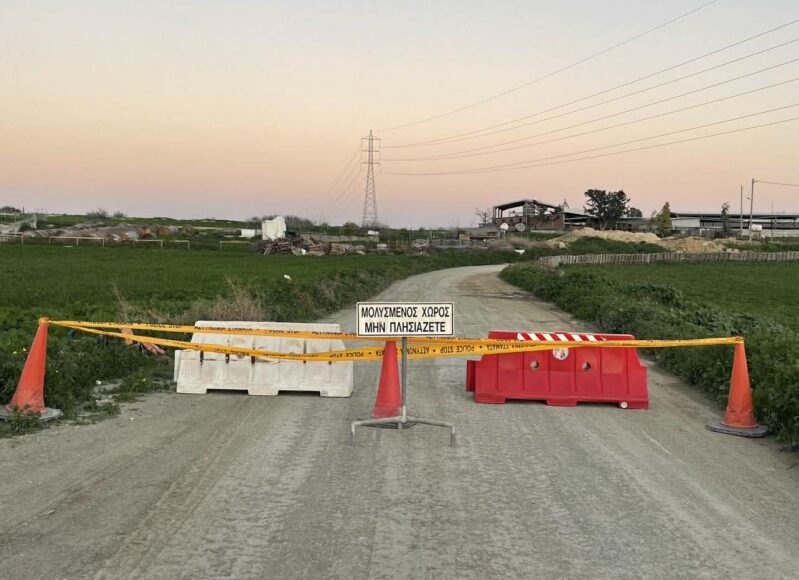 afthodis-piretos-larnaca-1