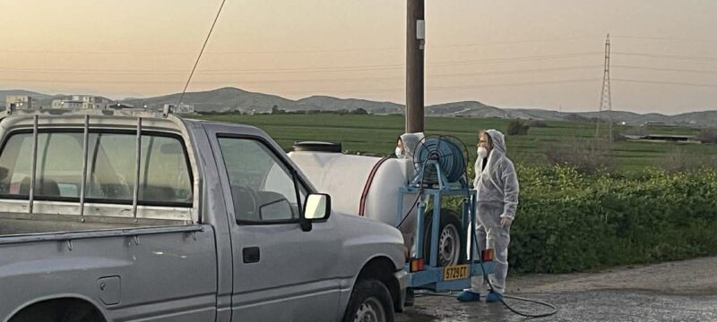 afthodis-piretos-larnaca-2 (1)