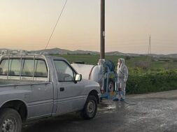 afthodis-piretos-larnaca-2-768×577