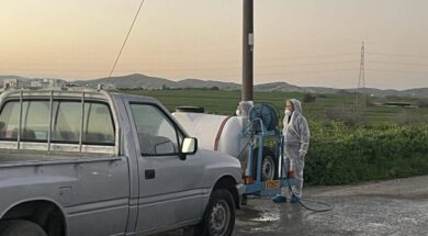 afthodis-piretos-larnaca-2-768×577