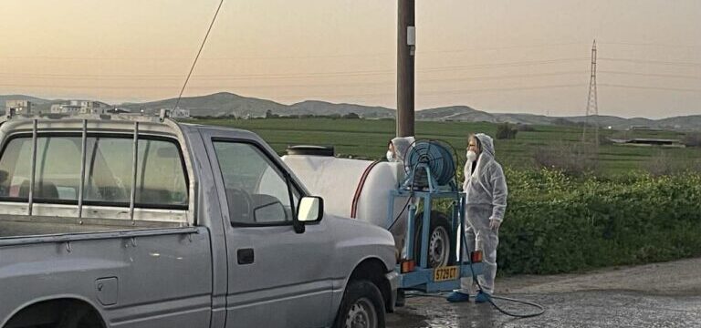 afthodis-piretos-larnaca-2-768×577