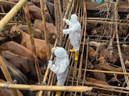 afthodispiretos-768×432