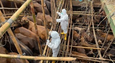 afthodispiretos-768×432