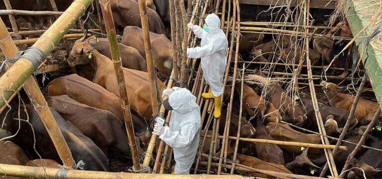 afthodispiretos-768×432