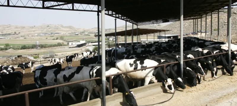 agelades-afdodis-pyretos-1536×1013