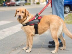 cache_1300x500_Analog_medium_1385021_767254_26_02_09_160922