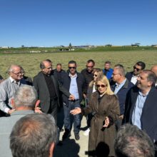 d0661472-d6b6-45df-bcd4-c179dc98e928