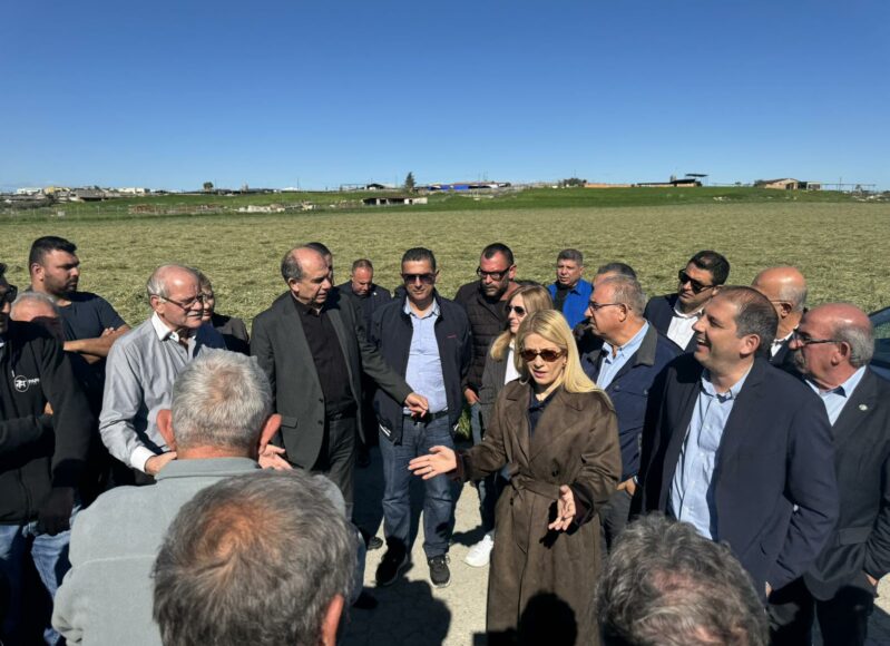 d0661472-d6b6-45df-bcd4-c179dc98e928